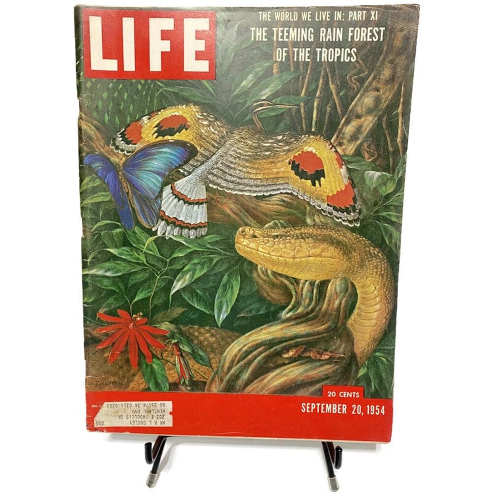 LIFE Magazine September 20 1954 Teeming Rain Forest Tropics Vintage